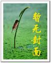 隐婚总裁超完美!