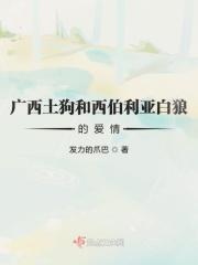 西伯利亚狼与北美灰狼区别