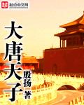 大唐天子酒价格及图片53