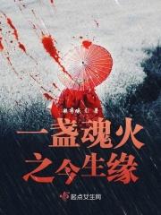 一盏魂灯渡佳人6字id