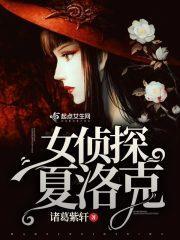 女神探夏洛克有第二季吗