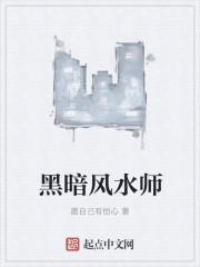 黑暗风书籍
