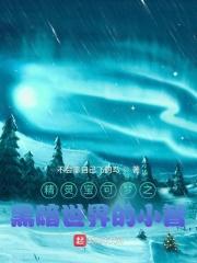 精灵宝可梦之黑暗之子