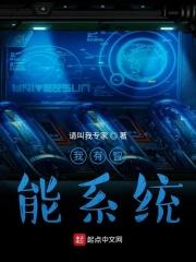 智能系统怎么用