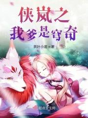 穿越侠岚之我是辗迟
