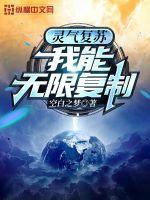 灵气复苏我能无限复制 空白之梦