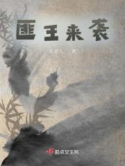 电视连续剧匪王传奇