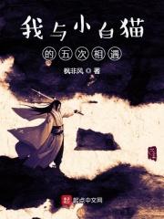 我与小猫之间的故事500字
