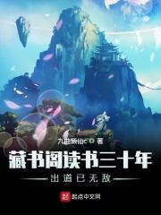 藏书阁无弹窗