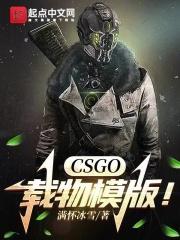csgo载物头像
