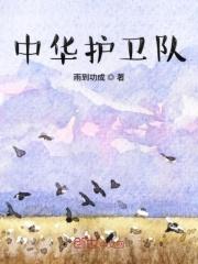 中华护卫队故事
