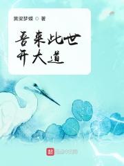 类似吾来此世开大道