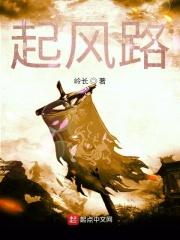 歌词 起风的路