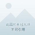 穿成反派极品人妻