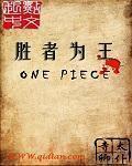 海贼之王者巅峰