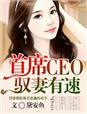 首席驭灵师动漫在线观看