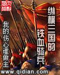 纵横三国之铁血铁骑