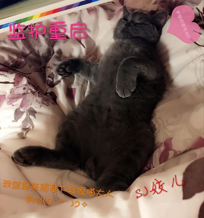 监护仪怎么重启