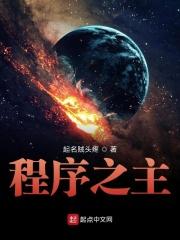 程序是啥意思?