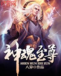 神魂至尊正版