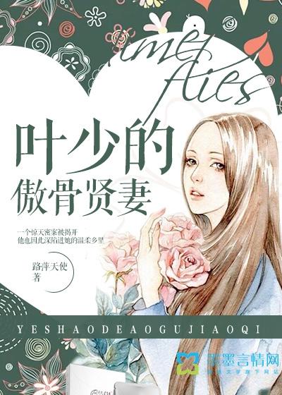 叶少蜜爱傲娇甜妻 夜明猪