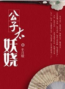 公子太美书籍