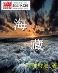 海藏传电视剧