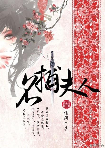 名捕夫人电视剧什么时候上映