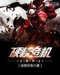 硬核危机txt
