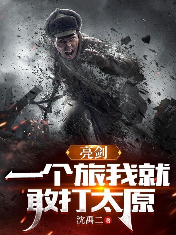 亮剑旅长视频