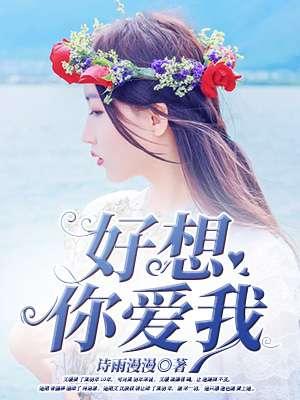 我想你好爱你是啥歌