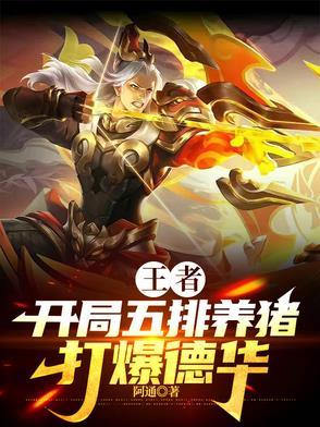 王者五排养猪车队