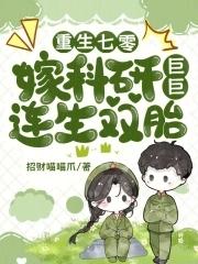 重生七零之我成了科研大佬