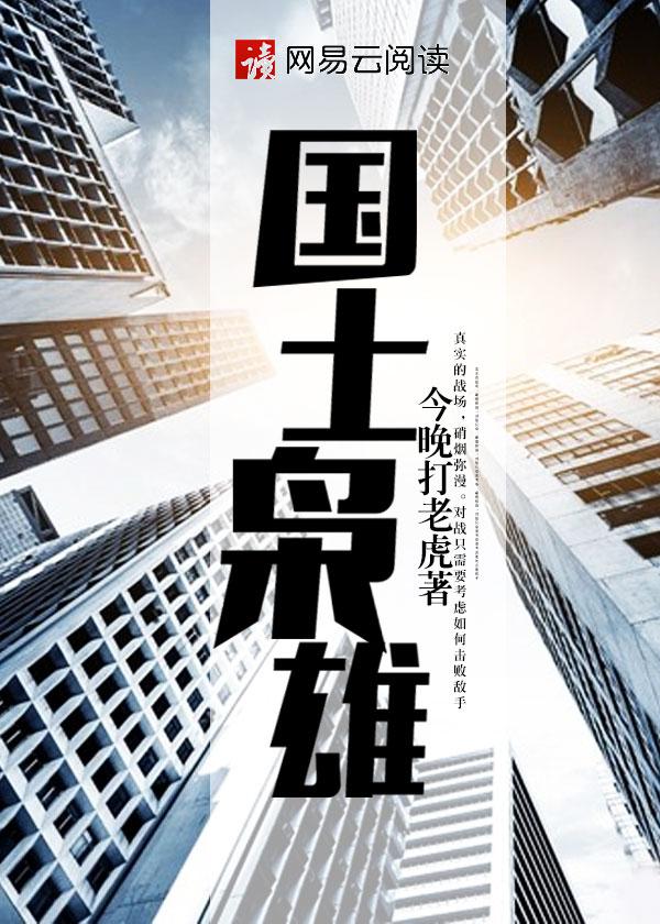 国士枭雄电视剧