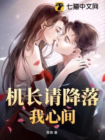 机长请降落在哪可以看
