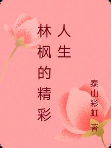 林枫人物