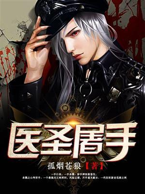 圣手医兵免费阅读