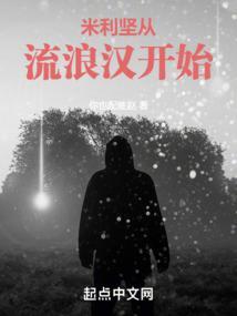 美利坚从流浪汉开始逆袭未删节版本