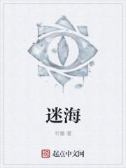 迷海归巢电视剧在线看