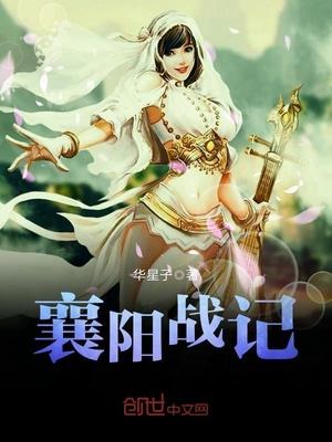 襄阳战记黄药师父女