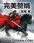 完美赘婿.txt