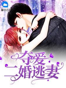 叶少的奇爱婚妻