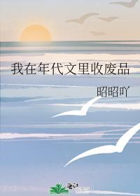 我在年代文里收废品 作者昭昭吖