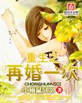 重生之再婚by