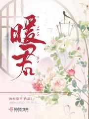 暖君 闲听落花讲什么