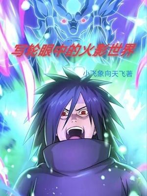 火影里的写轮眼大全