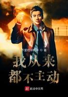 我从来都不主动 txt