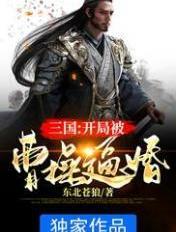 三国开局成为曹操