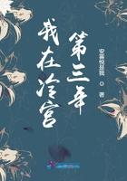 我在冷宫呆的第三年