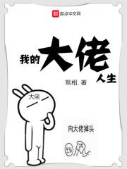 我的大佬人生txt奇书网